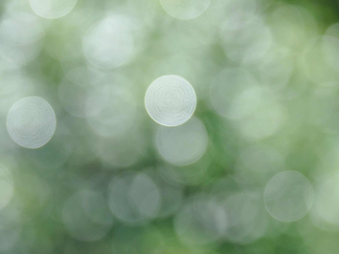 Photo by Mike Castro Demaria Bokeh Bokeh Bokeh Bokeh Bokeh Bokeh Bokeh Bok.